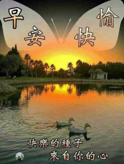 image%3A45165
