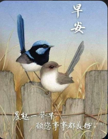image%3A45257