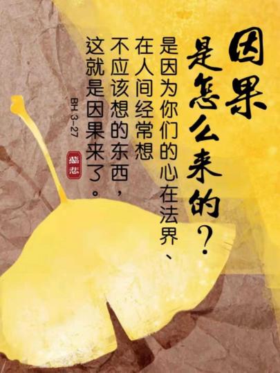 image%3A45671