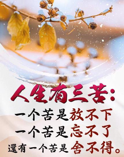 image%3A45682