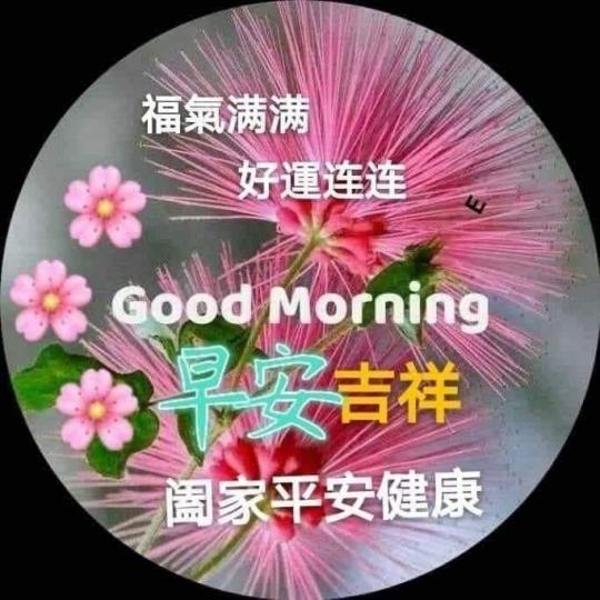 image%3A45795