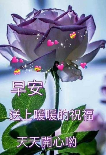 image%3A46102_0