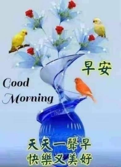 image%3A46437