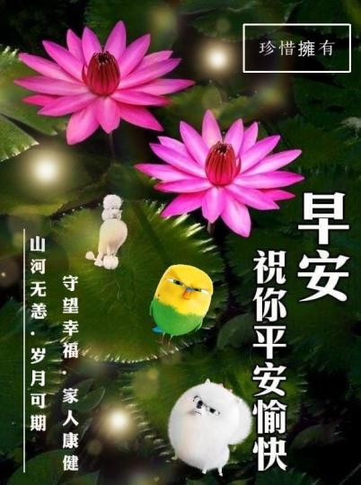 image%3A46595