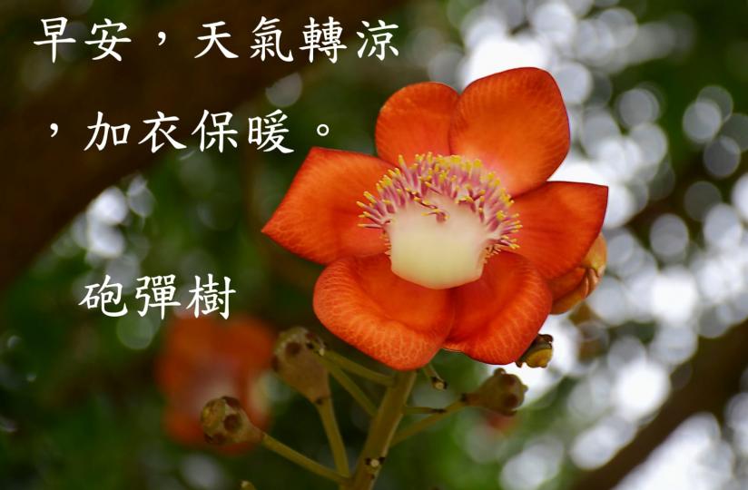 image%3A47272