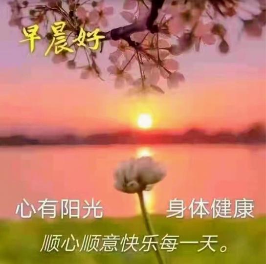 image%3A48677_0