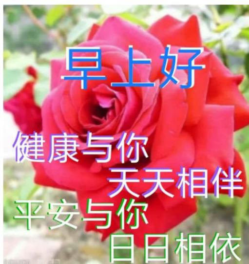 image%3A48681