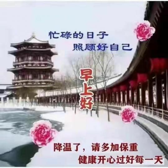 image%3A4912