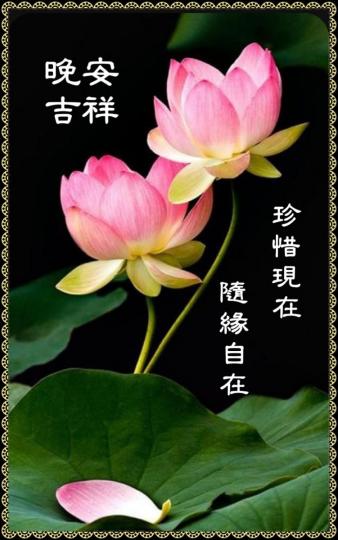image%3A50492_1