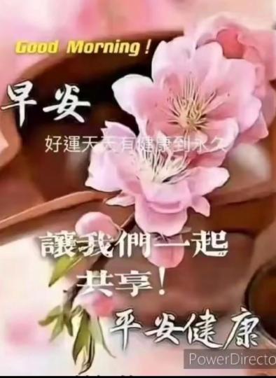 image%3A52364