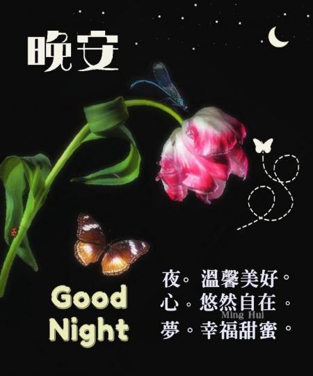 image%3A52384