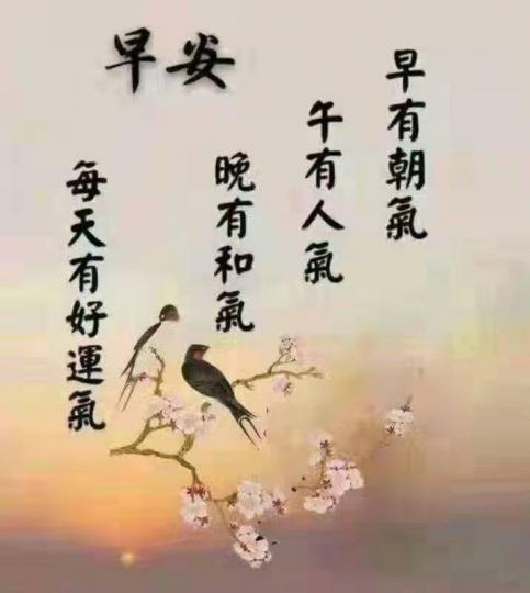 image%3A52709_0