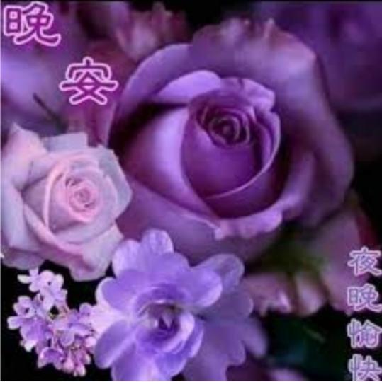image%3A52954