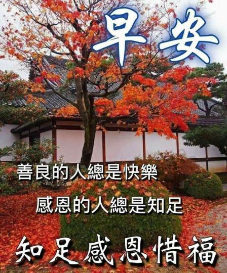 image%3A5297