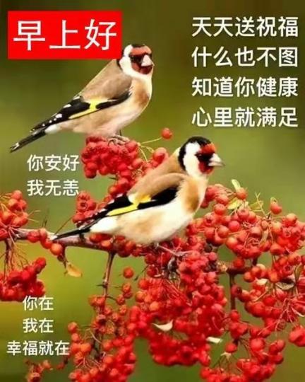 image%3A5320_0