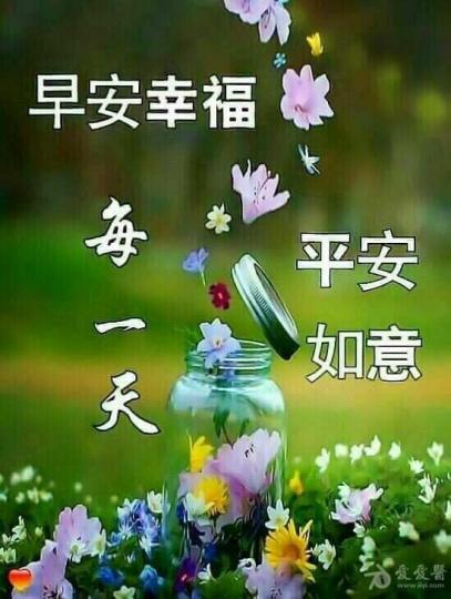 image%3A5446