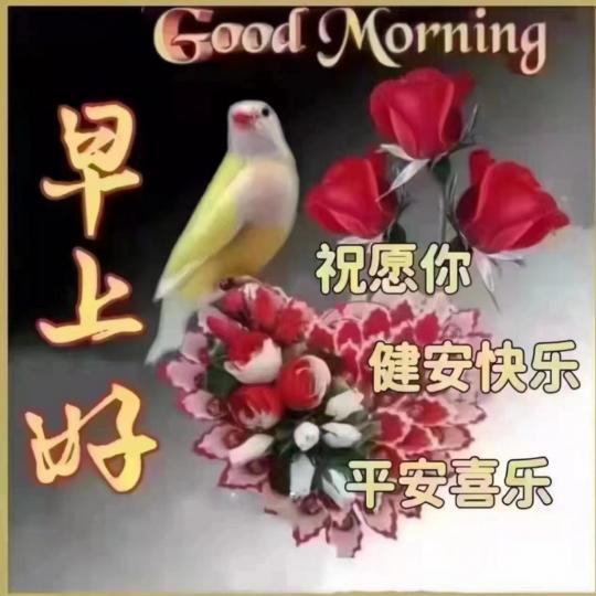 image%3A55909_0