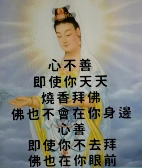 image%3A56313