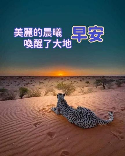 image%3A57553