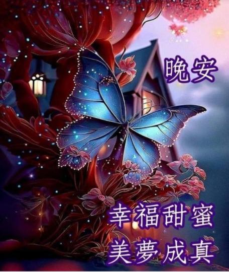 image%3A57565