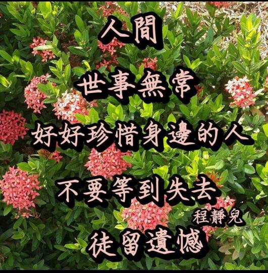 image%3A57725