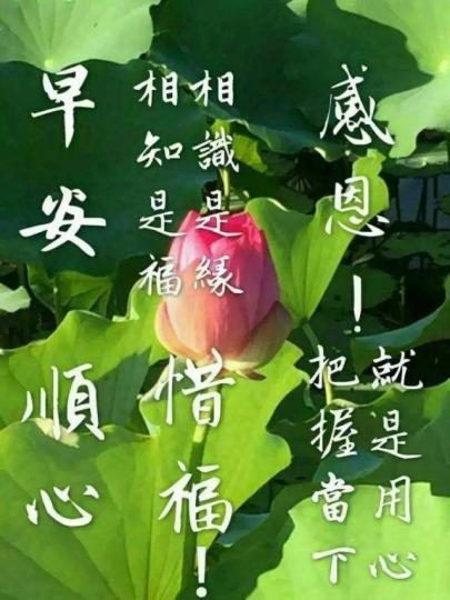 image%3A57845