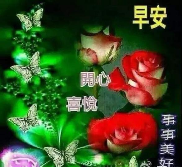 image%3A57847
