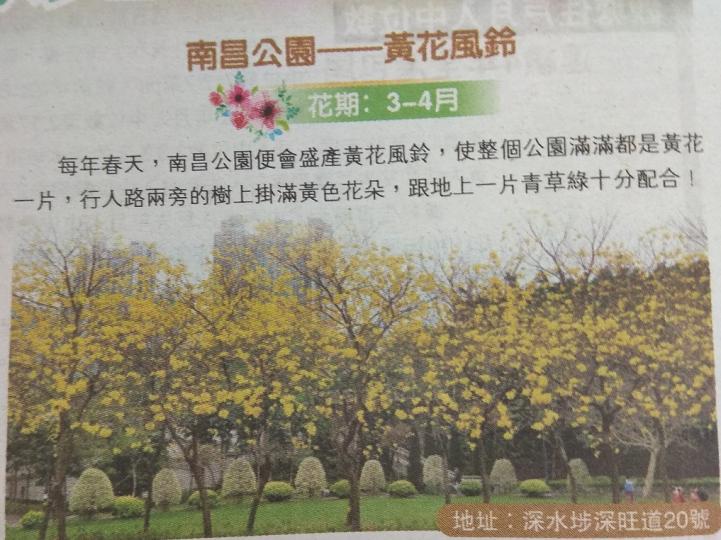 image%3A581241