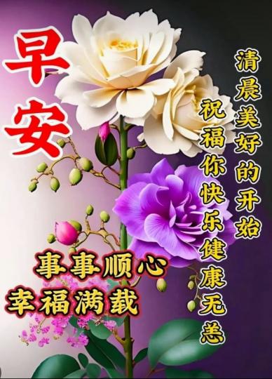 image%3A58137