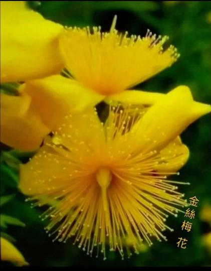 image%3A58150