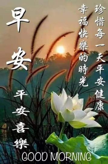 image%3A58642