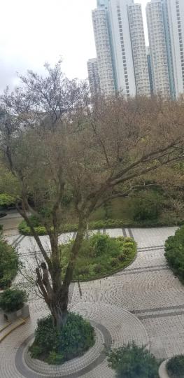 image%3A59188_0