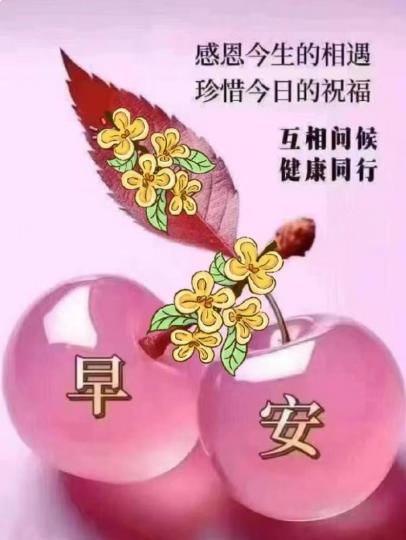 image%3A63851