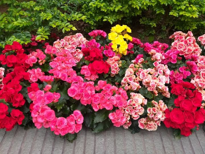 image%3A65088