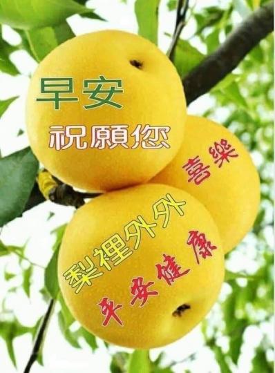 image%3A65358
