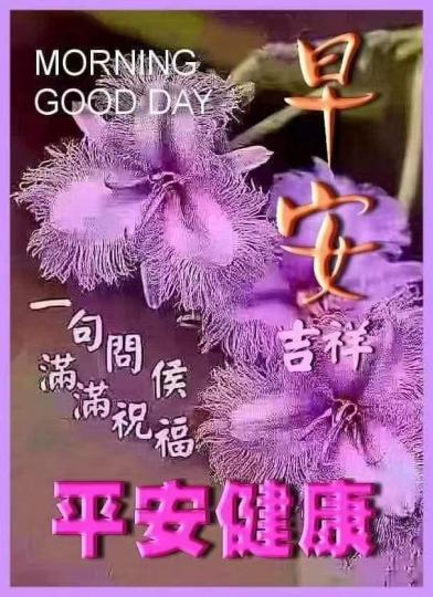 image%3A66079