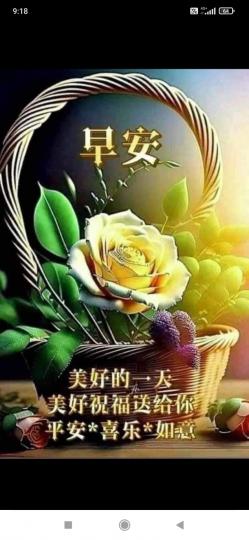 image%3A66129