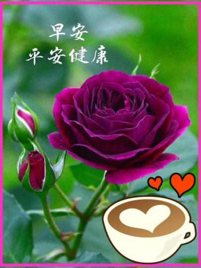 image%3A66150