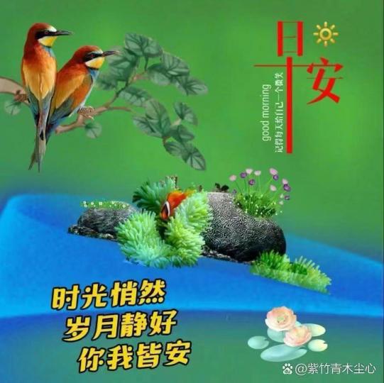 image%3A66618