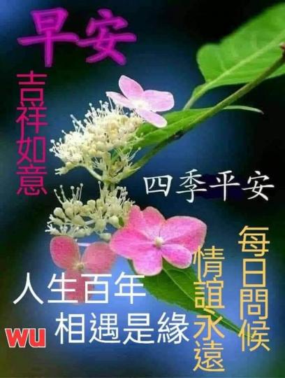 image%3A67212