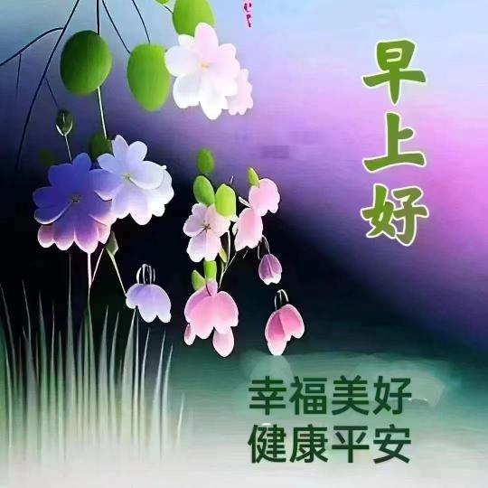 image%3A67532