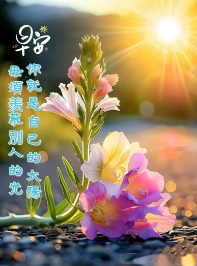 image%3A67777_0