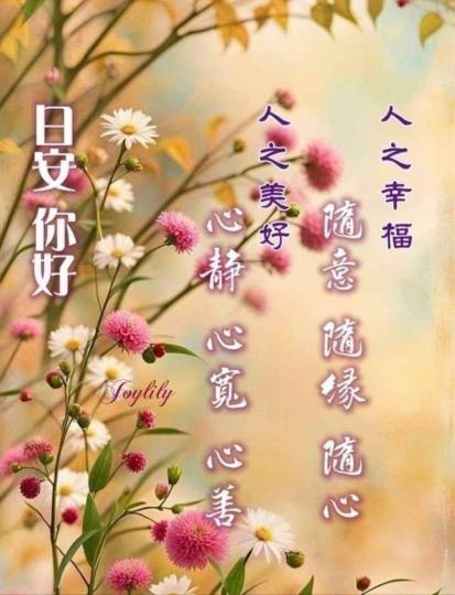 image%3A69173