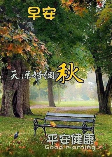 image%3A69224