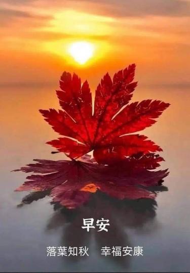 image%3A69473
