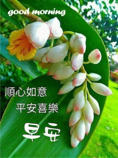 image%3A69488