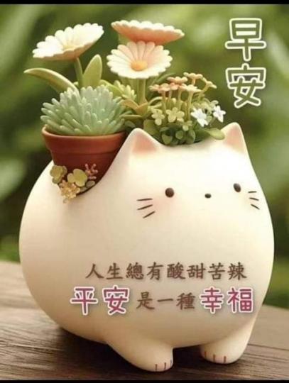 image%3A69660
