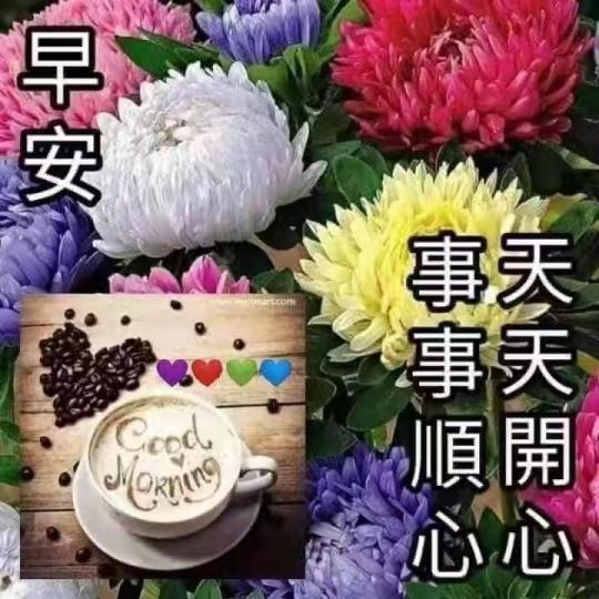 image%3A69785