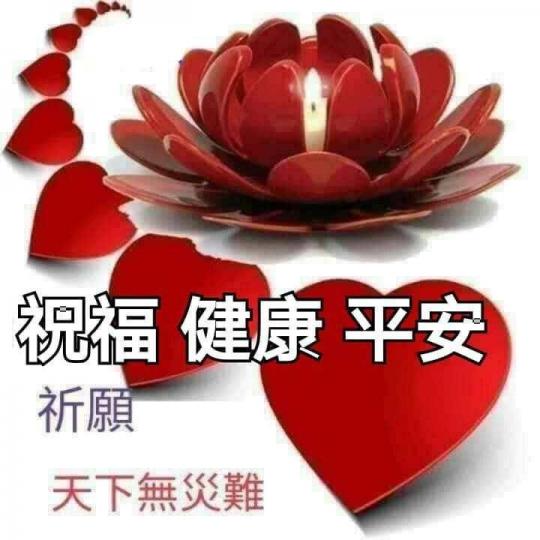 image%3A75040
