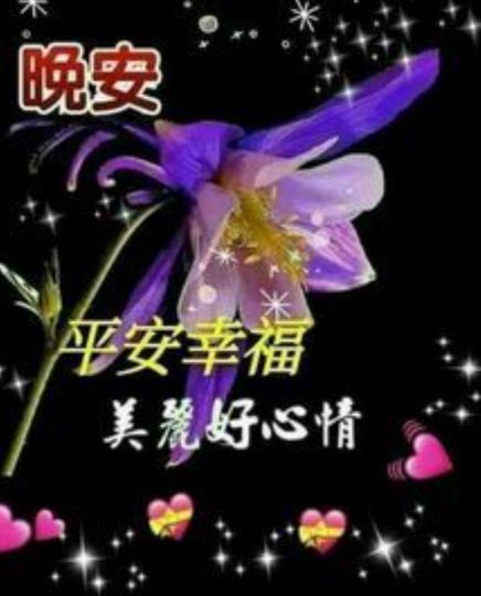 image%3A75418